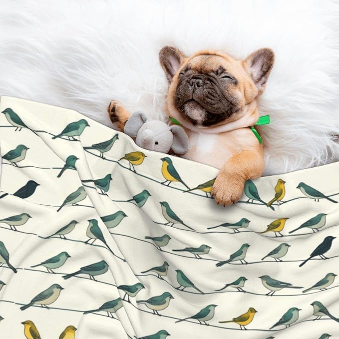 Two Sided Plush Pet Blanket for Warmth Comfort, Birds Animal Flying, Reversible Throw with Cozy Nubby Side for Chilly Nights Napping Spots Around House