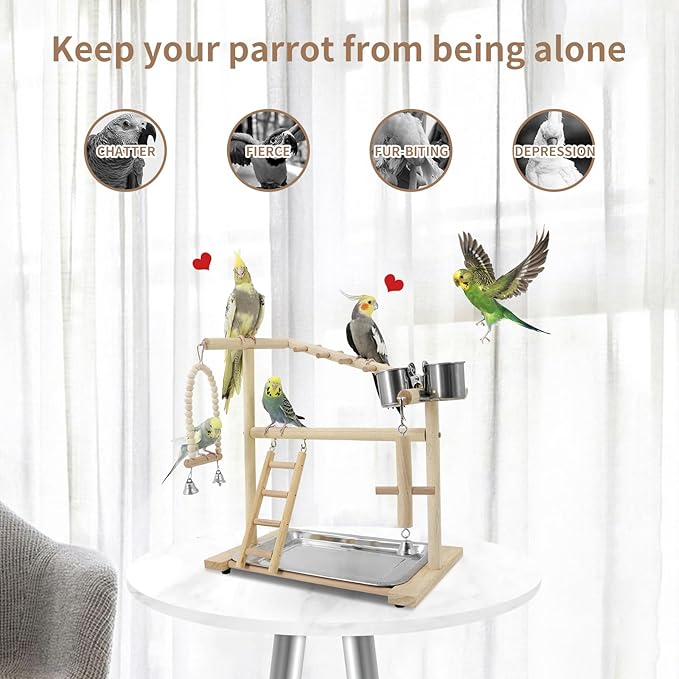 Bird Playground, Playstand for Parrot Cage Accessories (1 Ladder with Swing)