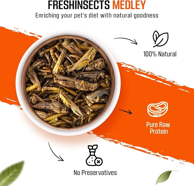Medley Treat Bearded Dragon Food - Freeze Dried Mealworms, Grasshoppers, Crickets, Quality Tested, Vitamin & Calcium Enriched, Essential Proteins, Fats & Minerals - for Bearded Dragons, Reptiles 6 oz