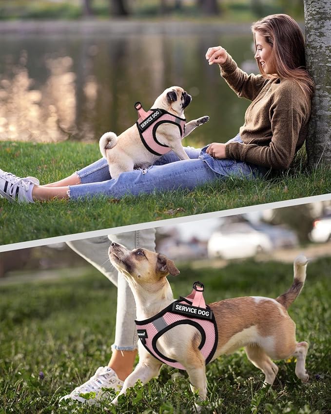 FAYOGOO Service Dog Vest for Small and Medium Breed - Lightweight Dog Harness with 6PCS Removable Patches - Puppy Harness and Leash Set for Walking, Training