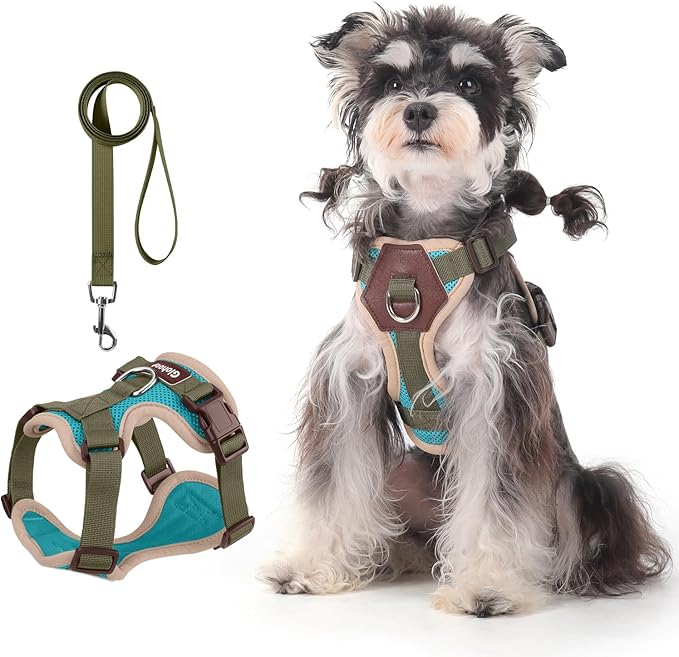 Small Dog Harness and Leash Set, Breathable Mesh Puppy Harness, Adjustable Dog Harness for Small Medium Large Dogs, No-Pull Pet Harness for Daily Walking (Lakeblue, Large)