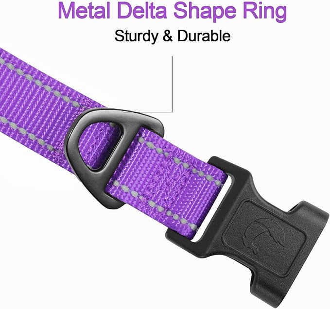 Joytale Reflective Dog Collar, Soft Neoprene Padded, Metal D-Ring, Nylon Pet Collar Adjustable for Puppy and Small Dogs, Purple, XS