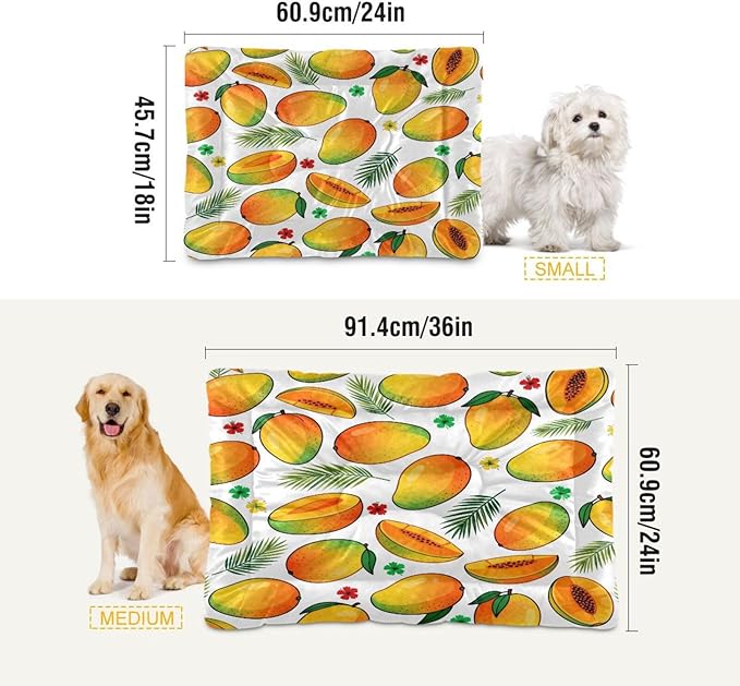 Mango Fruit Dog Beds Crate Pad Washable Pet Mat for Dogs Cats, Non-Slip Travel Bed Pad, Indoor Outdoor Kennel Pad 36x24in