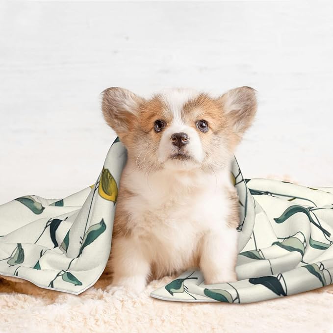 Double Sided Pet Bed Blanket for Added Cushion Warmth, Birds Animal Flying, Reversible Cover with Textured Dot Surface for Existing Beds Standalone Mat