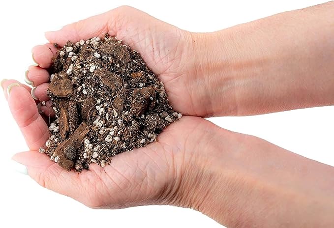 Gardenera Bromeliad Planting Mix - Promote Robust Root Development and Lush Foliage - 4 QUARTS