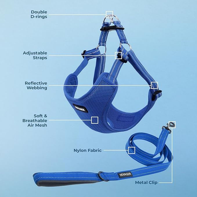 Best Pet Supplies Voyager Adjustable Step-in Flex Breathable Mesh Dog Harness for Small Medium Large Dogs Leash Set (Royal Blue), XS
