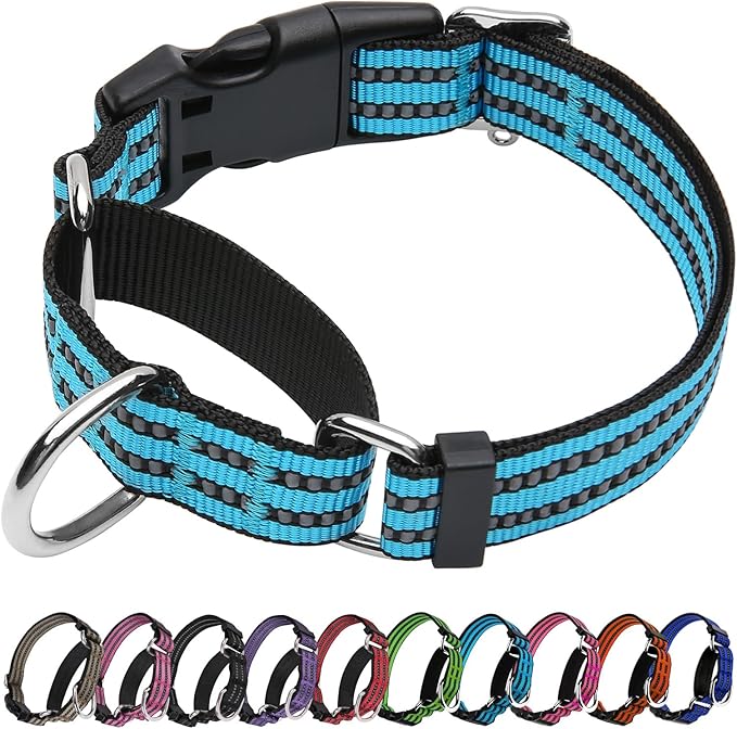 Martingale Dog Collar, Adjustable Nylon Reflective Collar with Buckle No Pull Dog Collar for Small Medium Large Dogs（Blue L