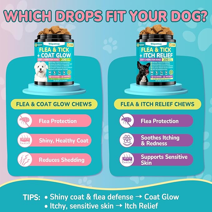 Flea + Coat Glow Soft Chews, Natural Flea and Tick Prevention for Dogs, Dog Flea and Tick Treatment Chewable, Reduces Itch & Shedding with Fish Oil & Neem, Chicken Flavor