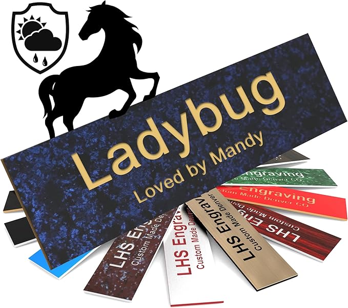 Horse Stall Name Plate, 2x6 Personalized Stall Signs, UV Protected, All Weather Adhesive, Hanging, Mounting or Other, Celestial Blue Plastic Gold Letters - Made in USA - S1
