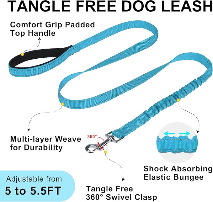 BEAUTYZOO Dog Harness for Small Dogs, No Pull Dog Harness and Leash Set, Soft Escape Proof Puppy Vest Harness with Handle, Reflective Lightweight Step in Harness for Girl Boy Dogs, Blue XS