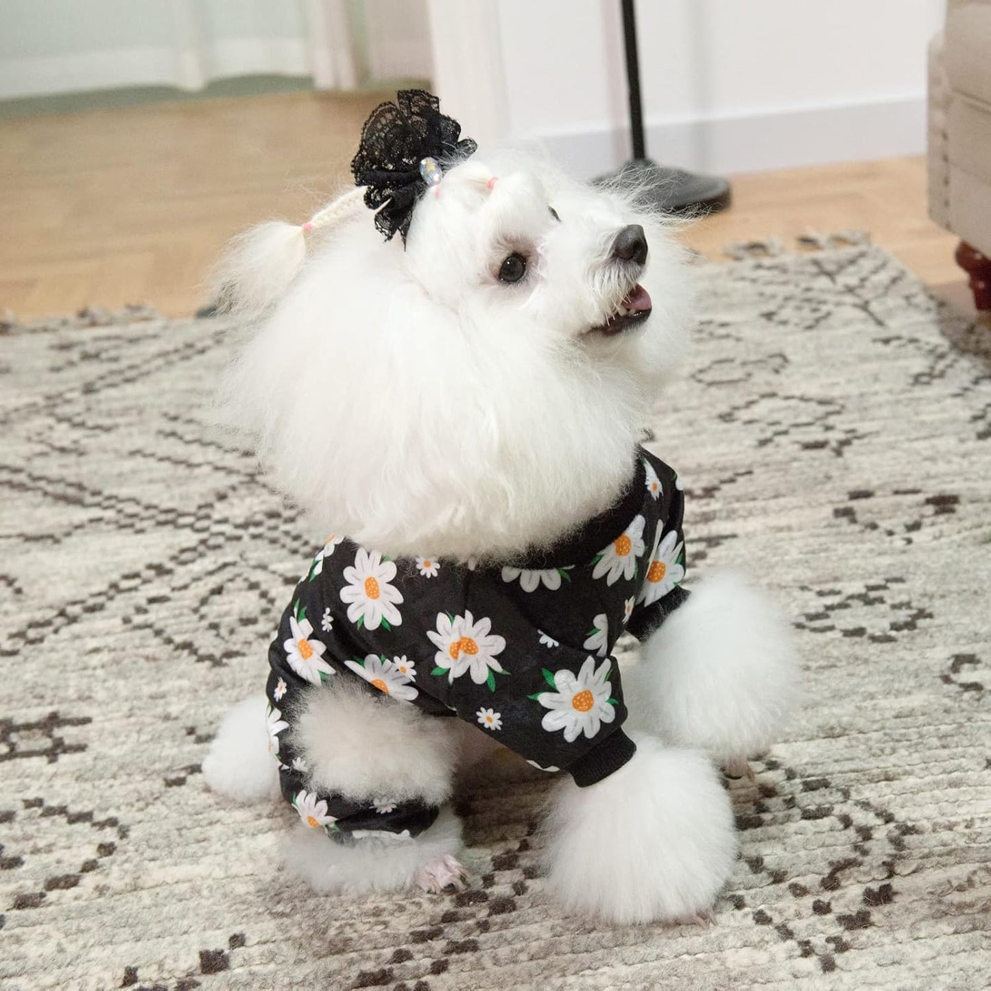 CuteBone Small Dogs Outfit Soft Puppy Onesies Pjs Dog Pajamas Pet Coat Cat Apparel Comfy Doggie Jumpsuit Bodysuit for All Seasons P221S