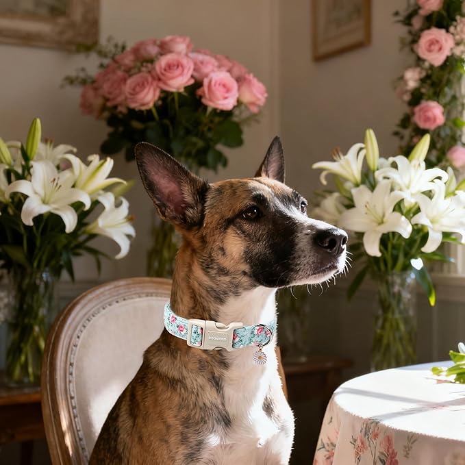 DOGWONG Floral Dog Collar, Cute Adjustable Flower Collar, Girl Female Dog Collar with Strong Plastic Buckle for Small Medium Large Dogs,L