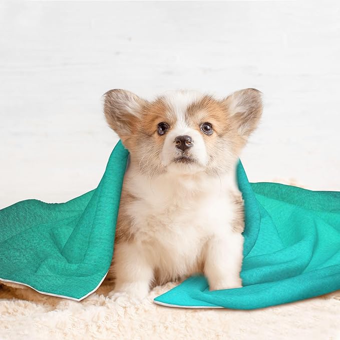Waterproof Dog Blanket Soft Pet Blanket for Puppy Cat, Fleece Cat Throw Blankets for Furniture Bed Couch Sofa Reversible - Turquoise Light Blue