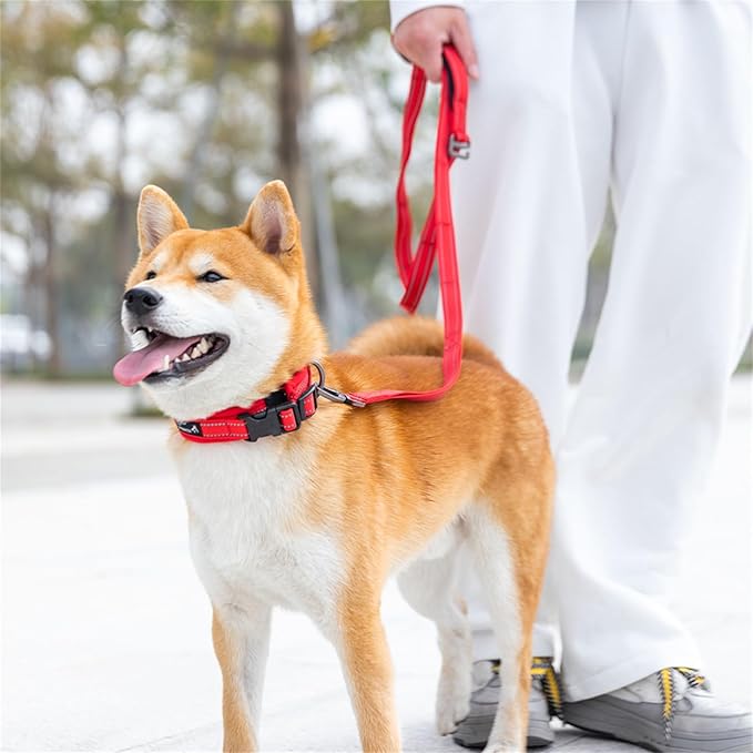 EXCELLENT ELITE SPANKER Reflective Dog Collar Classic Soft Padded Breathable Nylon Adjustable Pet Collar with Quick Release Buckle for Boy Girl Male Female Small Medium Large Dogs Training(Red-L)