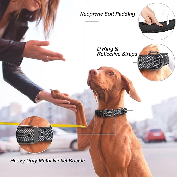 PetiFine Dog Collars for Small Dogs, Neoprene Padded Dog Collar, Reflective Heavy Duty Pet Collars with Durable Metal Belt Buckle for Walking, Black, S