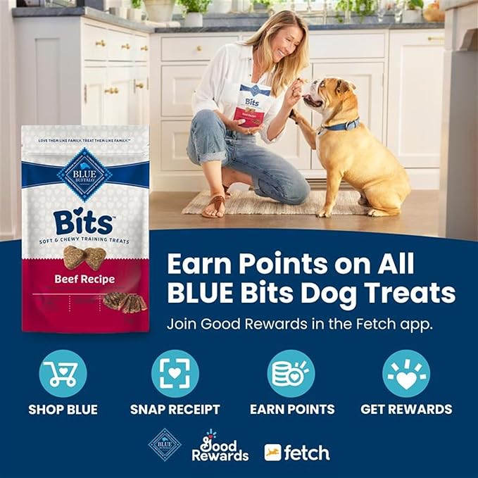 Blue Buffalo Bits Soft Dog Treats for Training, Made with Natural Ingredients & Enhanced with DHA, Beef Recipe, 19-oz Bag (Pack of 4)