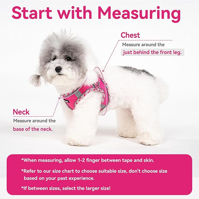 Petank Dog Harness for Small Medium Dogs No Pull, Puppy Harness and Leash Set for Walking, Running, Training, Small Dog Harness, Medium Dog Harness (Brown, S)