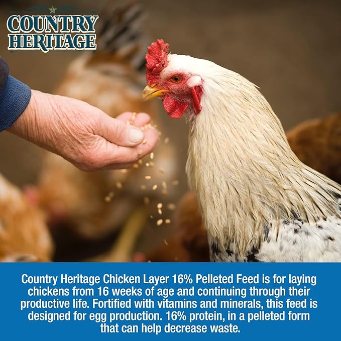 CountryMax Hen Egg Layer Pellet with 16% Protein for Increased Egg Production for Chickens (10 Pounds)