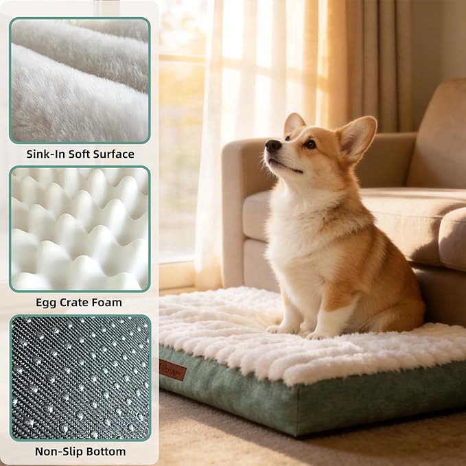 Orthopedic Dog Bed with Firm High-Density Egg Crate Foam, Machine Washable Cover & Non-Slip Bottom for Medium Breeds (Green, 29" L x 18" W x 3" H)