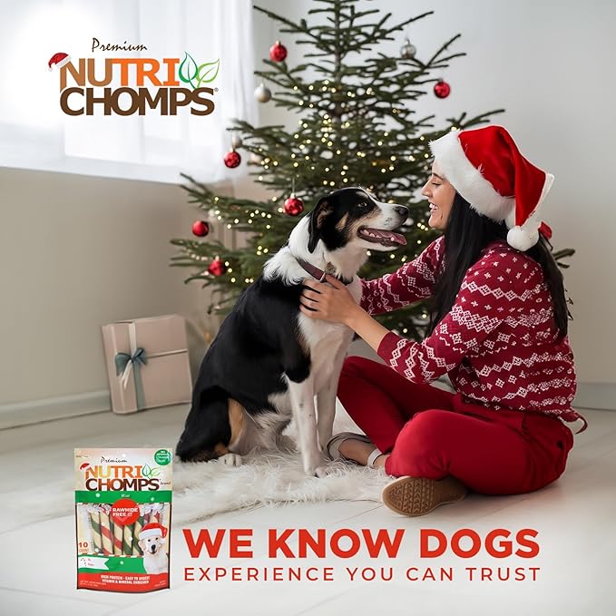 NutriChomps Dog Chews, 5 inch Twists, Mint Flavor, 10 Count, Easy to Digest, Rawhide Free, Holiday Stocking Stuffer Treats, Christmas Gift for Dogs