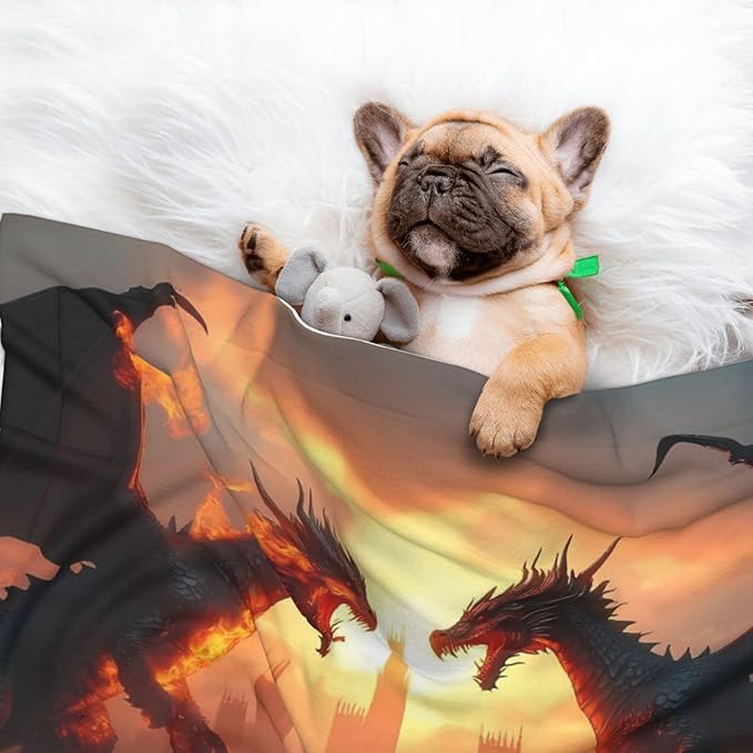 Castle Cool Fire Dragon Print Soft Plush Pet Blanket, Washable Dog Blanket, Cat Fleece Throw, Puppy Bed Crate Mat & Sofa Couch Protector - Medium