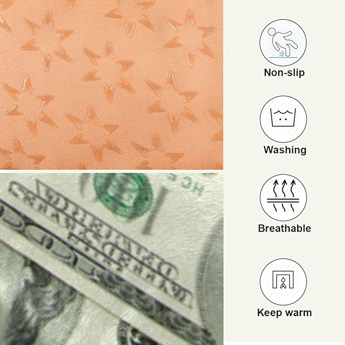 Money Print Pet Bed Cute Dog Bed Mat Absorbing Non Slip Pad Pet Sleeping Mat for Small, Medium, and Large Dogs Puppy Cat 24 in x 18 in