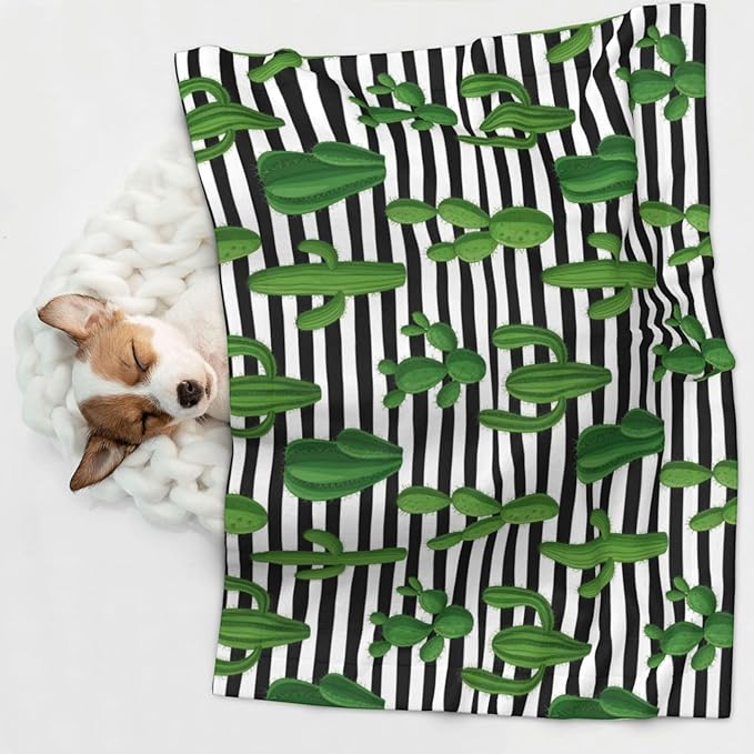 Pet Blanket for Travel and Home, Cactus and Stripes, Reversible Plush Dot Design with Soft Grip Texture on One Side Perfect for Car Seats Moving Vehicles