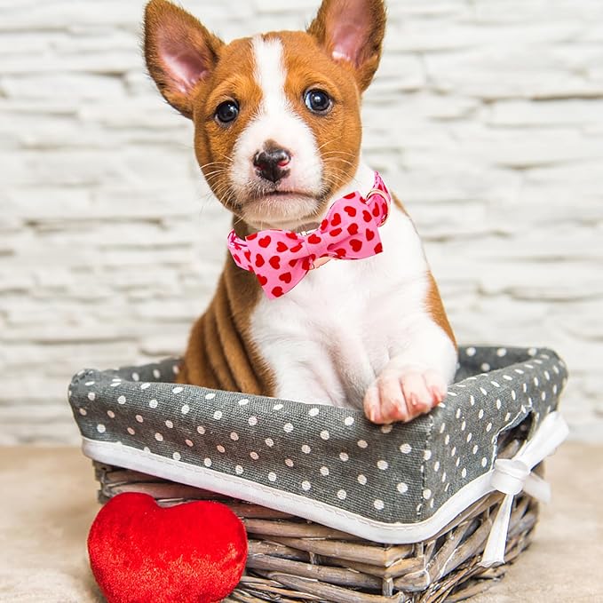 Lionheart glory Dog Bow Collar Valentine's Day Dog Collar for Large Dogs, Hearts Dog Collars with Bowtie Spring Dog Collar Pet Collar Bows