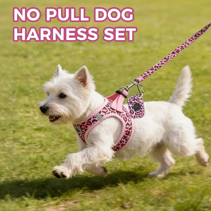 PAWCHIE Dog Harness and Leash Set,Step in No Pull Soft Pet Harness, Reflective Adjustable Puppy Vest for Small Medium Dogs Cats,No Choke Harness Vest with Poop Bag Holder for Walking,Running,Leopard S