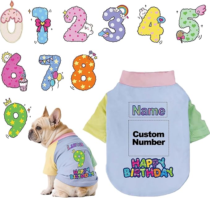 Custom Dog Birthday Shirt,Personalized Pet Apparel Print with Name Age Number,Pet Birthday Outfit,Lightweight Breathable Cotton Vest for Small Medium Large Dogs Cat (Dopamine Blue, Large)