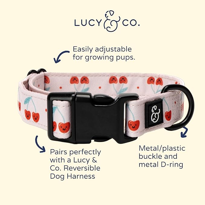 Lucy & Co. Cheery Cherries Dog Collar - Durable Lightweight Designer Collar for Pets - Adjustable Metal Safety Buckel - Red Gingham Cherries - Small
