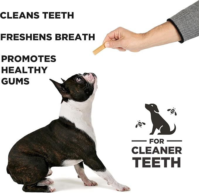 Project Hive Dental Chew Sticks for Dogs 7 oz Small (S/M) Textured Dental Treats, Fit Hive Toys Vegetarian, Made with Ground Peanuts & Honey, No Grain or Soy, Cleans Teeth & Freshens Breath