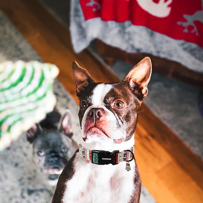 DOGWONG Christma Dog Collar, Classic Cute Red Green Christmas Tree Dog Collar for Boy and Girl Dogs, Strong Plastic Buckle Puppy Collars Dogs,XS