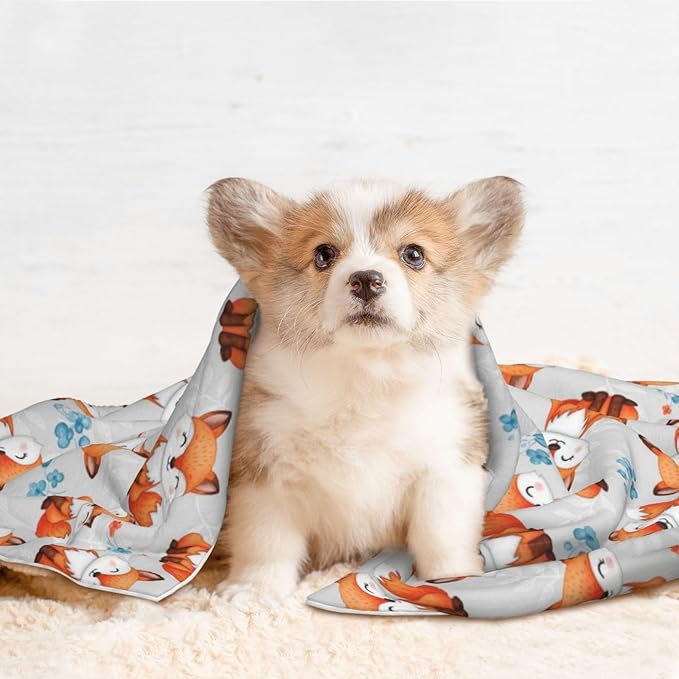 Two Sided Pet Cuddler Blanket for Anxiety Calming, Cute Fox, Reversible Plush Design with Bubble Dot Pattern Provides Familiar Surface Anywhere