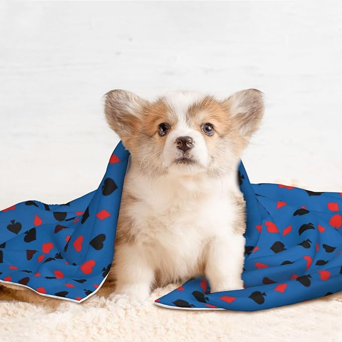 Dog and Cat Blanket in One, Poker Playing Cards, Double Sided Plush Throw with Raised Dot Pattern on One Side and Flat Velvet on Other for Variety