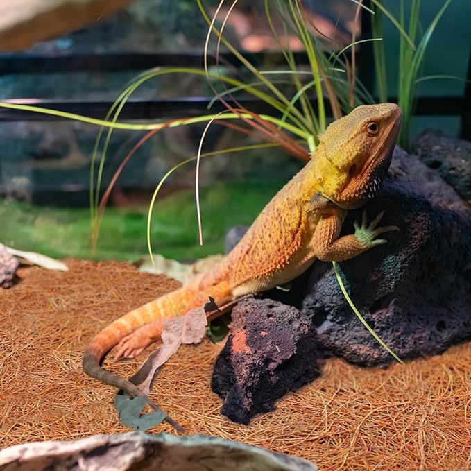 ZeeDix 3 Rolls Reptile Carpet, 24 x 48 inches Natural Coconut Fiber Liner Mat Flooring Accessories for Reptile Tank - Bearded Dragon Tortoise Lizard Turtle Snake Leopard Gecko Substrate Bedding