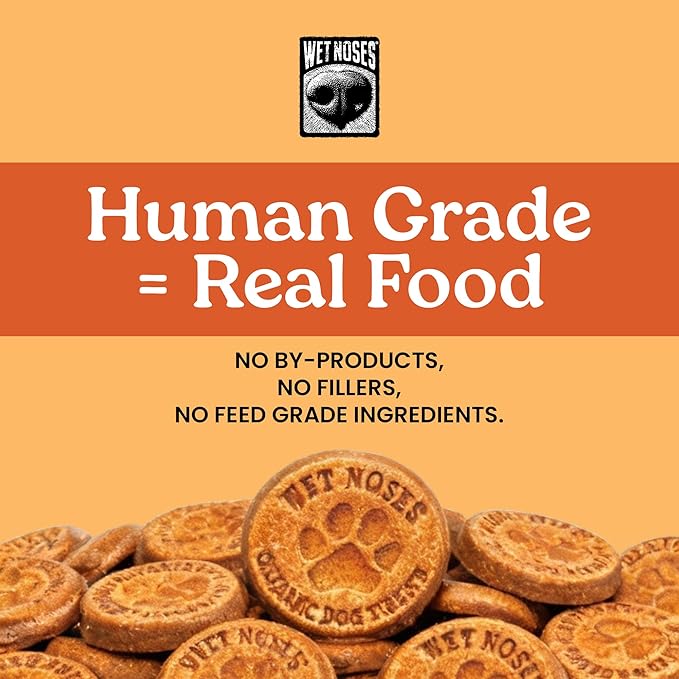 Wet Noses Organic Crunchy Dog Treats – All-Natural, Human-Grade, Non-GMO, Healthy Training & Delicious Snacks for Dogs, for All Dog Sizes & Breeds – Grain Free Pumpkin & Quinoa, 5lb (Single Pack)
