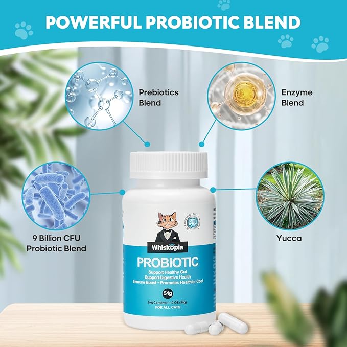 Probiotics for Cats - Cat Probiotic Supplement for Digestive & Gut Support, Diarrhea Relief, Immunity Booster, Cat Probiotic Powder with 9 Billion CFU and Prebiotics, 120 Capsules