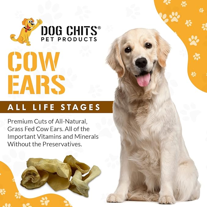 Dog Chits Cow Ears for Dogs – All Natural Cow Ear Dog Treats & Training Chews – High Protein, Low Fat – Thick Cut, Full-Sized – Dental Clean Crunch – Ideal for Medium & Large Dogs – Large, 10 Pk