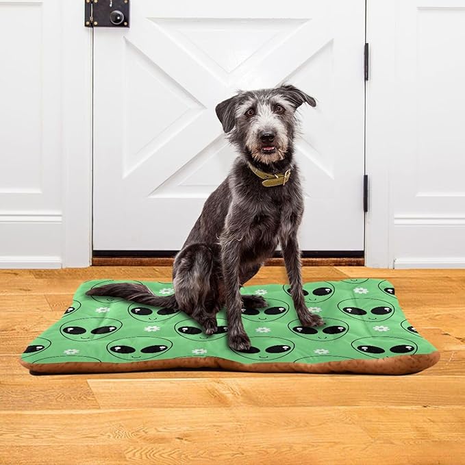 Pet Bed Green Alien Cartoons Daisy Flower Dog Bed Mat Absorbing Non Slip Pad Pet Sleeping Mat for Small, Medium, and Large Dogs Puppy Cat 36 in x 24 in