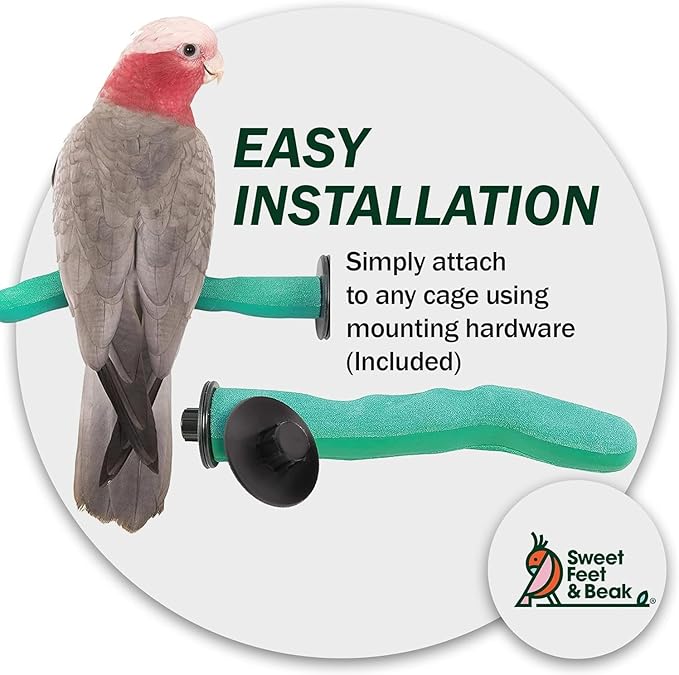 Sweet Feet & Beak Safety Pumice Bird Perch, Large 1-1/2" X 12", Purple - Lightweight Grinding Bird Perches for Cage - Bird Nail Trimming Perch for Healthy Beak & Feet - Multi-Size & Color Parrot Stand