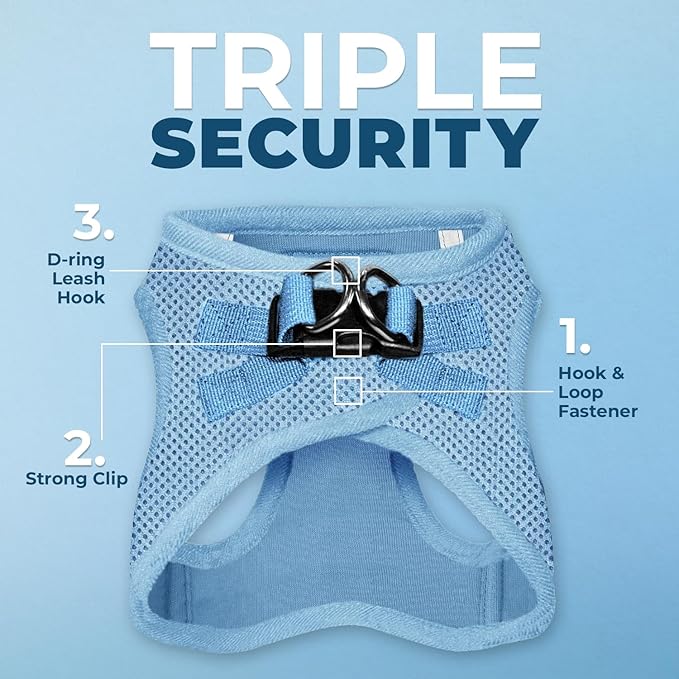 Best Pet Supplies Voyager Step-in Air All Weather Mesh Harness and Reflective Dog 5ft Leash Combo with Neoprene Handle, for Small, Medium and Large Breed Puppies - Set (Baby Blue), Small
