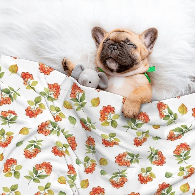 Double Sided Plush Pet Blanket with Cozy Dot Texture and Smooth Reverse, Flower Berries Autumn Orange Art Pattern, Reversible Throw for Dogs Cats on Couches Beds Crates