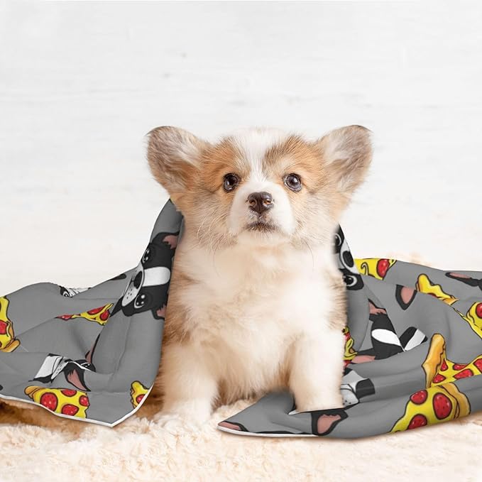 Two Sided Plush Pet Blanket for Crates Carriers Home Use, Grey Boston Terrier Dog Pizza, Reversible Throw with Cozy Dot Fabric and Silky Reverse for Small Large Pets