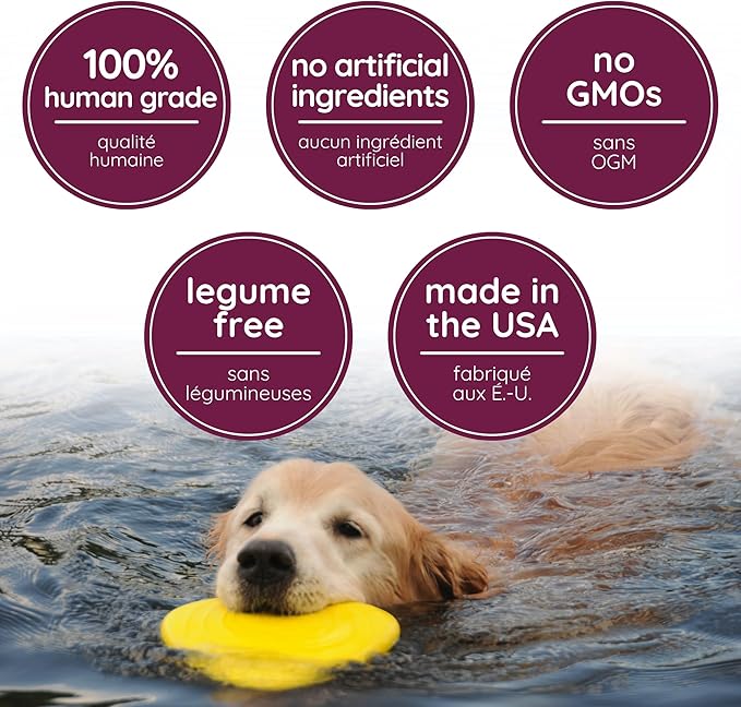 Caru - Cheddar Cheese Baked Cookies - Natural Treats for Dogs - Human Grade Ingredients - Flavorful - Wheat, Corn, Soy & Legume Free - Non-GMO - Made in USA - 4 oz - 1 Pack