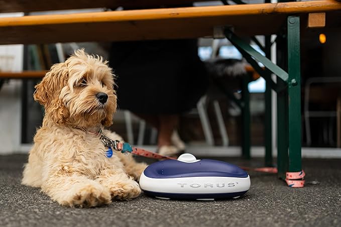 Filtered Portable Dog Water Dispenser [Upgraded 2026], 1L / 34oz, Automatic Pet Water Dispenser, No Spill, Noise-Free Dog Water Bowl Dispenser, No Power, Ideal for Small Pets