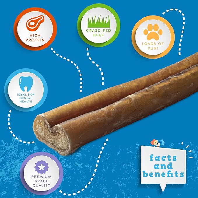 Jack&Pup 6-inch Pizzle Sticks for Dogs (3 Pack) All Natural Jumbo Bully Sticks | Single Ingredient, Long Lasting Bully Sticks for Medium Dogs