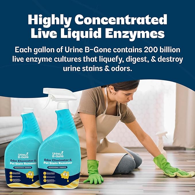 Urine B-Gone, Professional Enzyme Odor Eliminator & Pet Stain Remover, Human, Cat & Dog Urine Cleaner, Effective on Laundry, Carpets & More, Original Scent, 32oz, Pack of Two