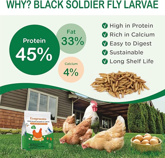 Dried Black Soldier Fly Larvae 10 LB, High Protein Natural Non-GMO More Calcium Than Mealworms Chicken Feed & Bird Food, Treats for Laying Hen, Ducks, Wild Birds