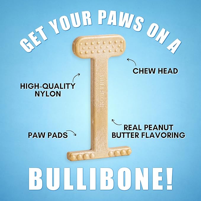 Bullibone Nylon Dog Chew Toy for Aggressive Chewers - Dental Hygiene Bone with Peanut Butter Flavor, Durable Tough Chew Toys for Extra Large Dogs, Indestructible Dog Bone - 3 Pack